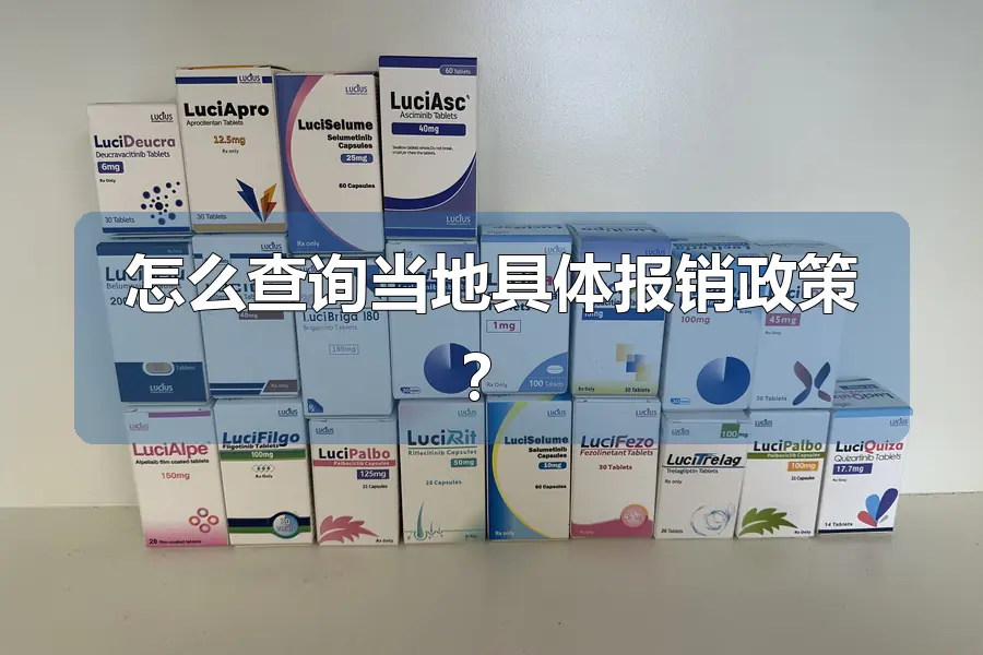 怎么查询当地具体报销政策？